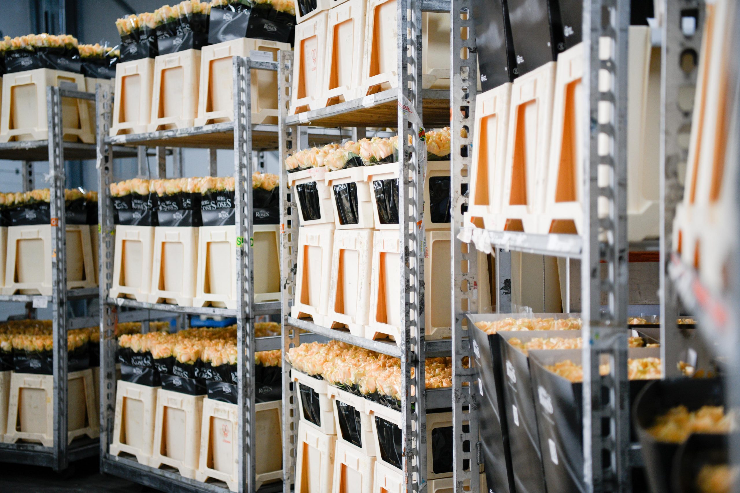 Vacature: Veilingmeester